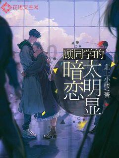 探索世界,与让男性多休假能提高生育率吗?蜗牛一起问答
